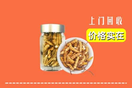 收购资讯:厦门市同安回收散虫草