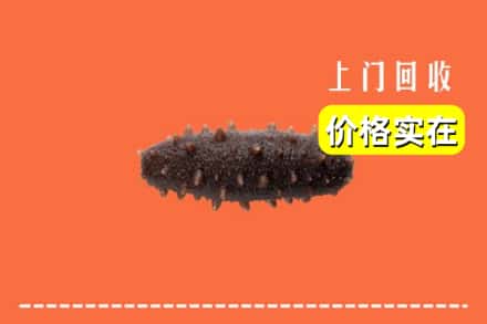 收购资讯:厦门市同安回收海参