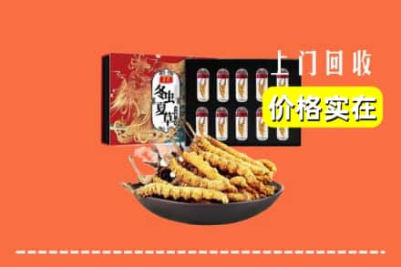厦门市同安回收虫草